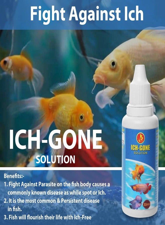 رعاية الحيوانات الأليفة الدولية بيت كير إنترناشونال، دواء لعلاج البقع البيضاء في أحواض السمك || مكافحة البقع البيضاء من أجل صحة أسماكك || عبوة من قطعتين || 30 مل - Image 2